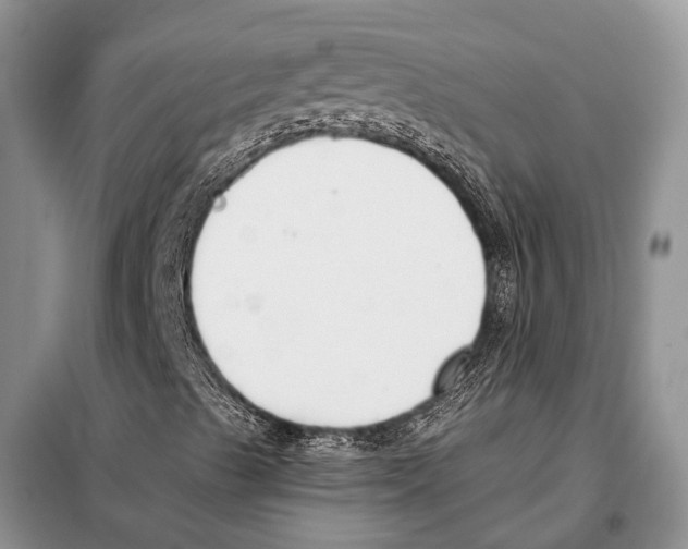 X0000098111489200805021120