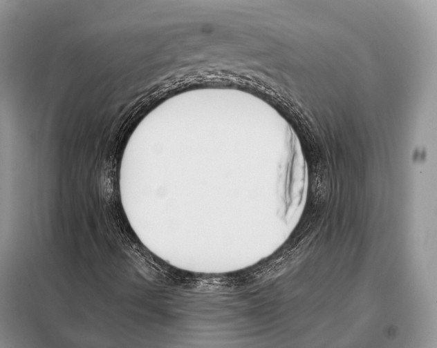 X0000098111490200805021120