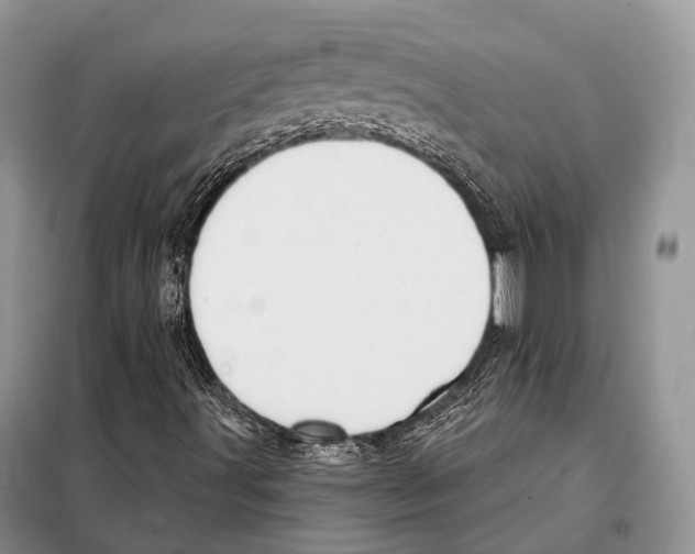 X0000098111491200805021121