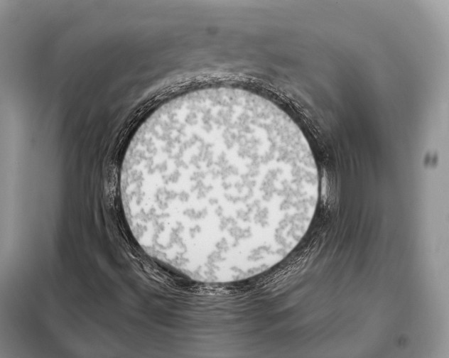 X0000098111492200805021121