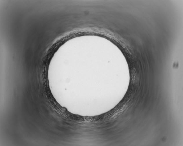 X0000098111494200805021121