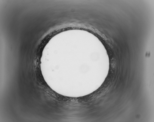 X0000098111495200805021121