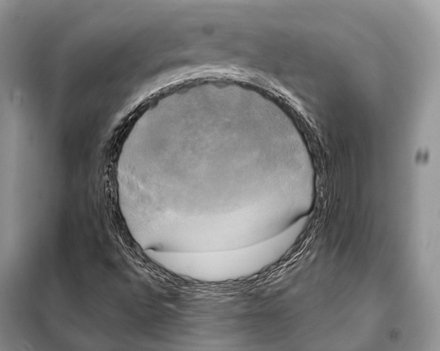 X0000098111496200805021121