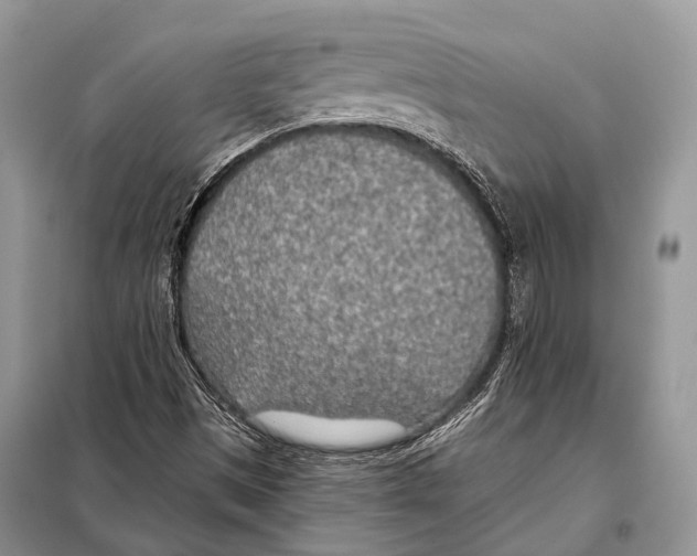 X0000098111497200805021121