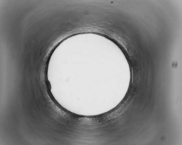 X0000098111500200805021121