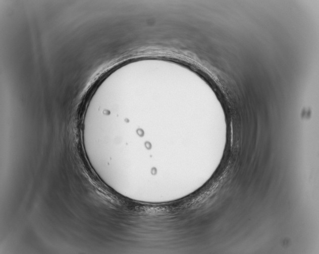 X0000098111501200805021121