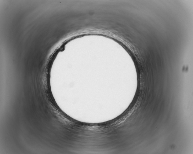 X0000098111502200805021121