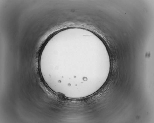 X0000098111503200805021121