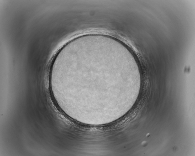 X0000098111504200805021121