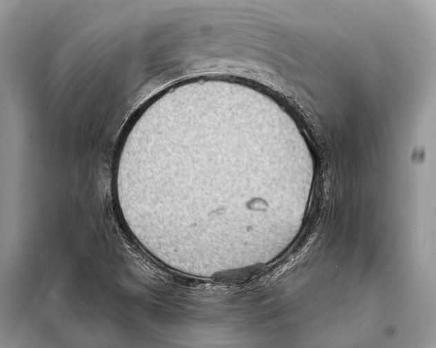 X0000098111505200805021121