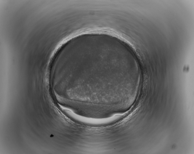 X0000098111506200805021121