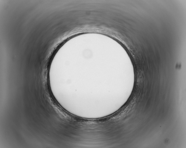 X0000098111507200805021121