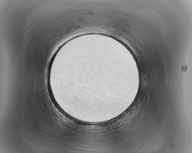 X0000098111508200805021121