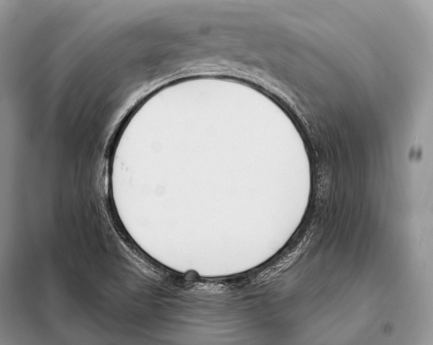 X0000098111509200805021121