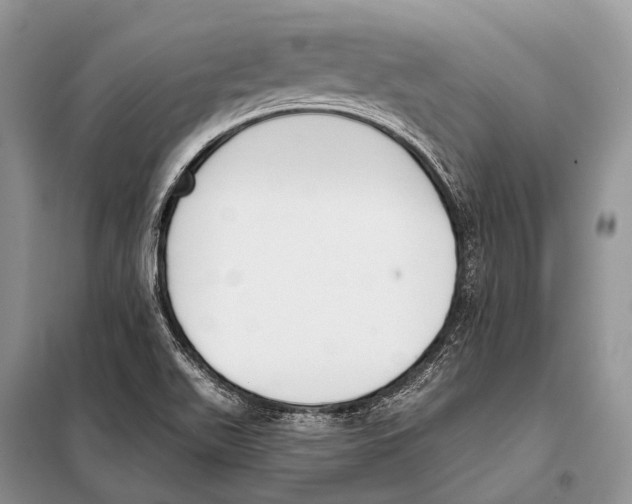 X0000098111511200805021121