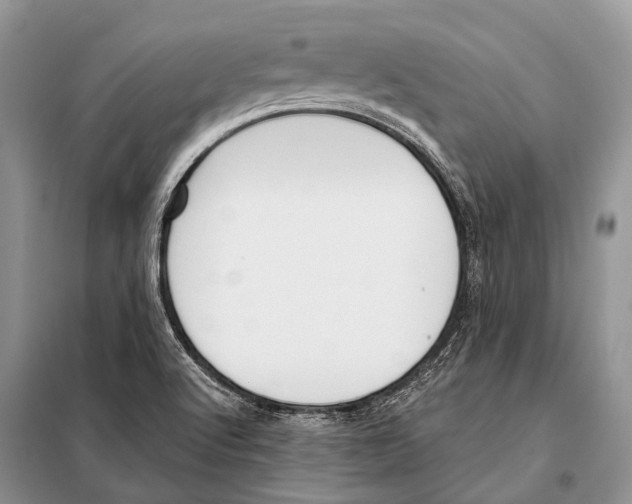 X0000098111512200805021121