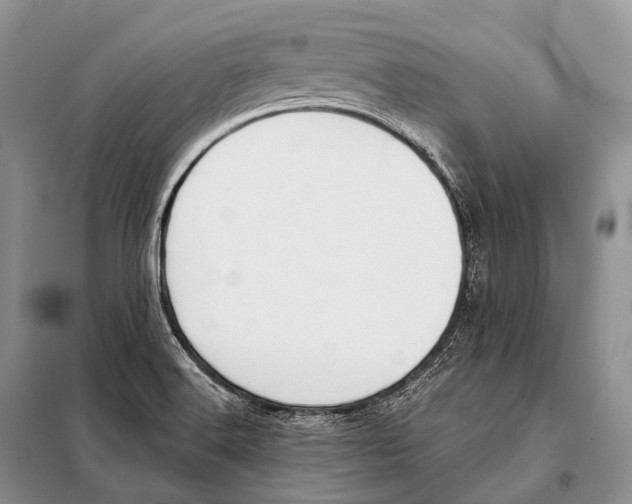 X0000098111516200805021121