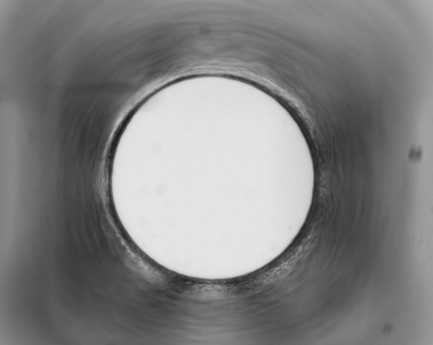 X0000098111517200805021121