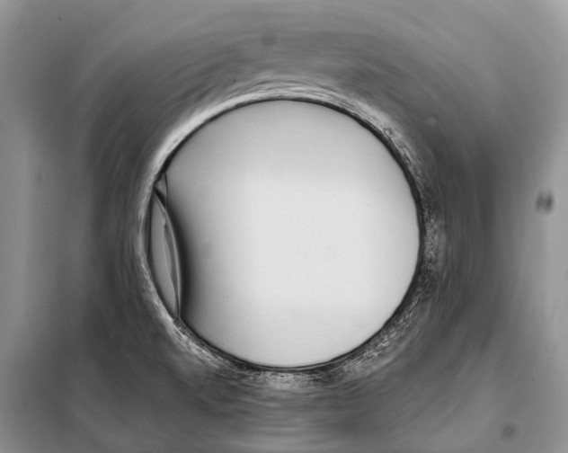 X0000098111520200805021121