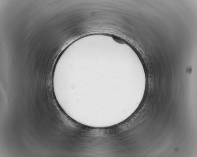 X0000098111521200805021121