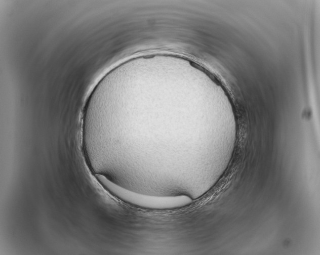 X0000098111524200805021121