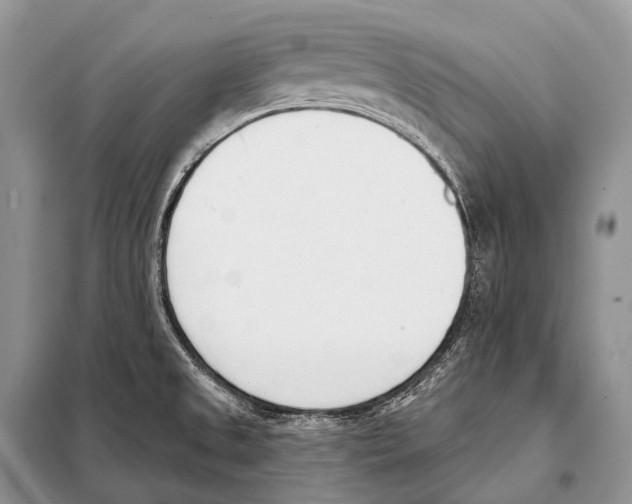 X0000098111525200805021121