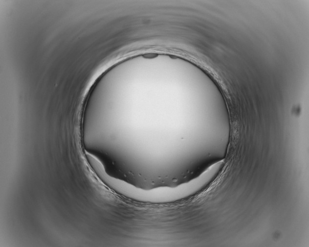 X0000098111530200805021121