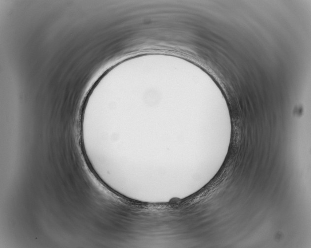 X0000098111531200805021121