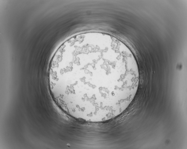 X0000098111532200805021121