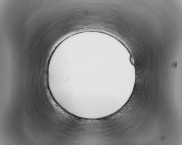 X0000098111534200805021121