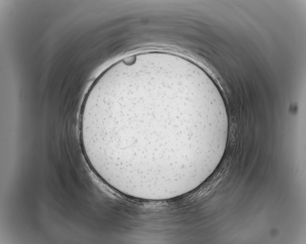 X0000098111535200805021121