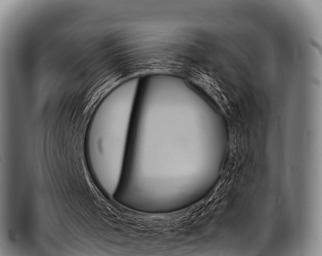 X0000098120001200804040834