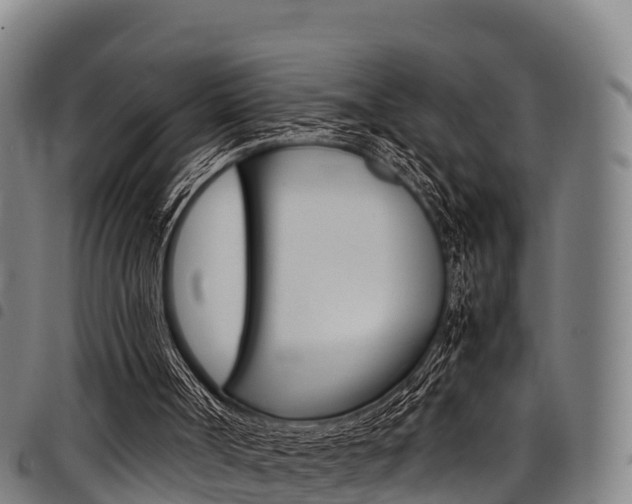 X0000098120002200804040834