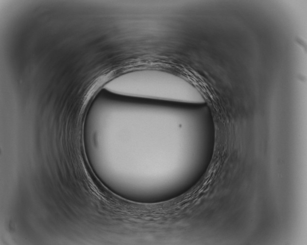 X0000098120003200804040834