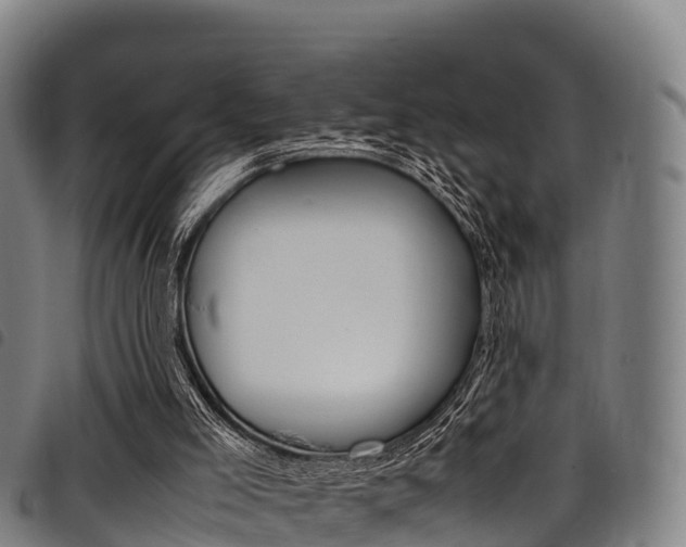 X0000098120005200804040834