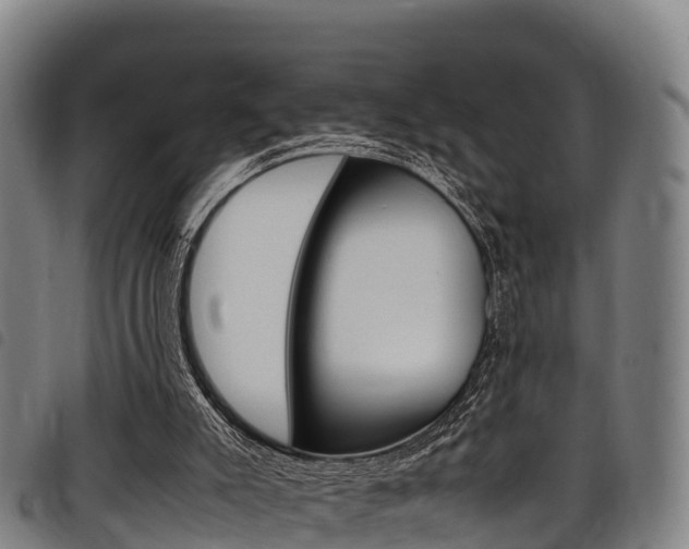 X0000098120007200804040834