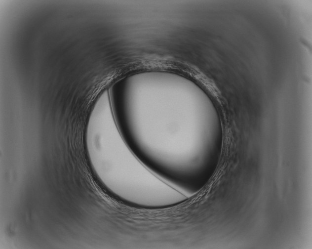 X0000098120009200804040834