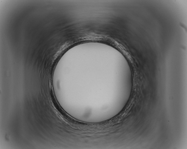 X0000098120011200804040834