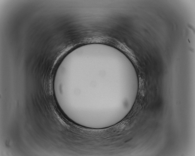 X0000098120012200804040834