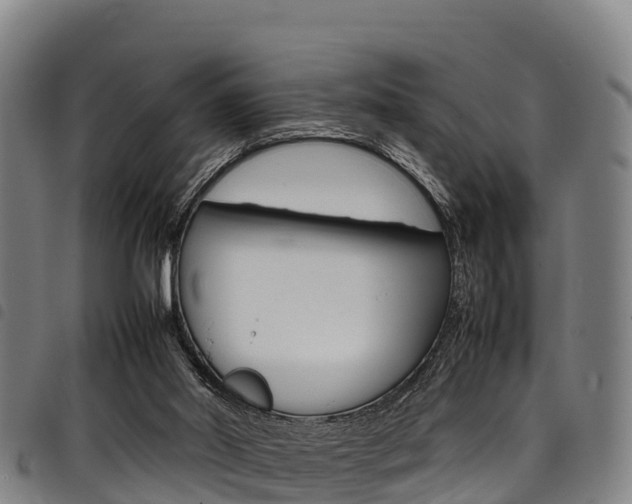 X0000098120014200804040834