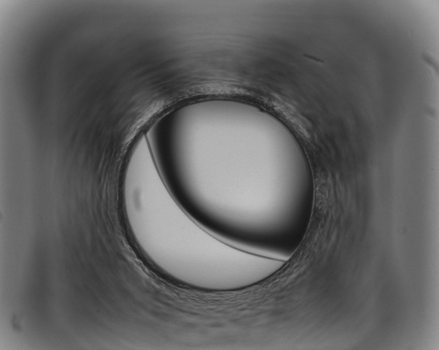 X0000098120015200804040834