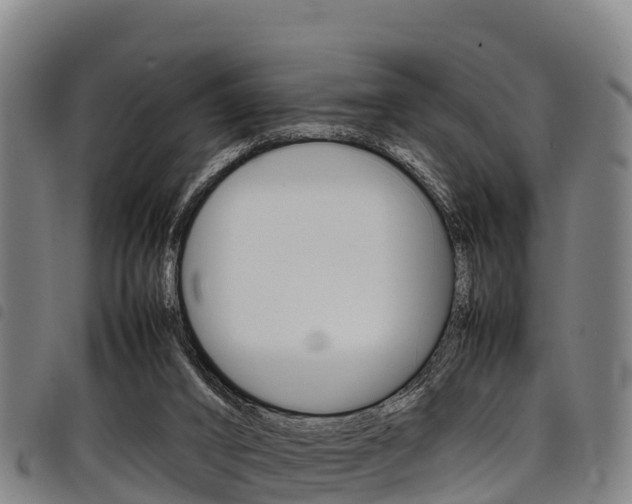 X0000098120016200804040834