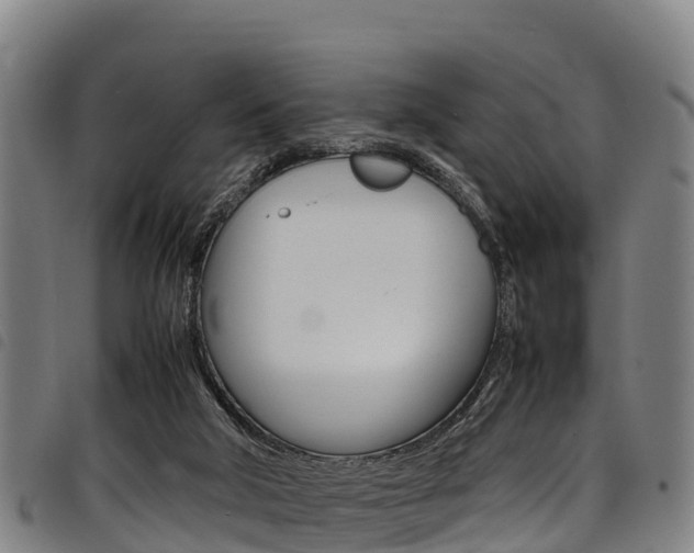 X0000098120018200804040834