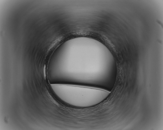 X0000098120020200804040834