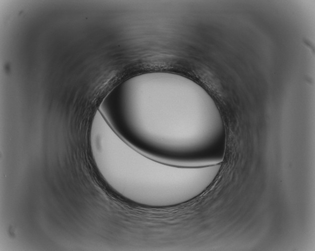 X0000098120021200804040834