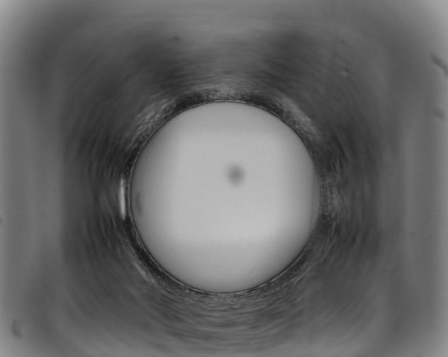 X0000098120022200804040834