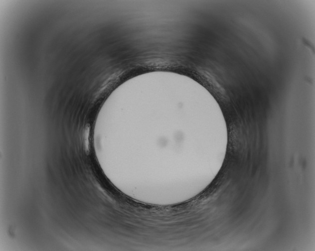 X0000098120024200804040834