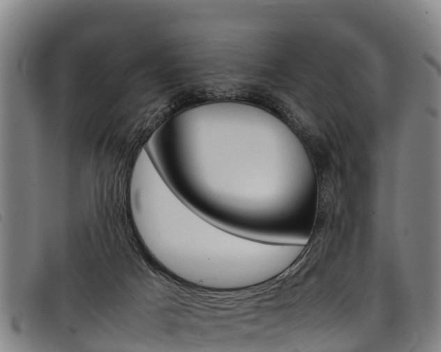 X0000098120025200804040833