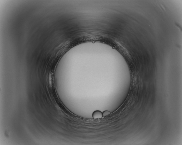 X0000098120026200804040833