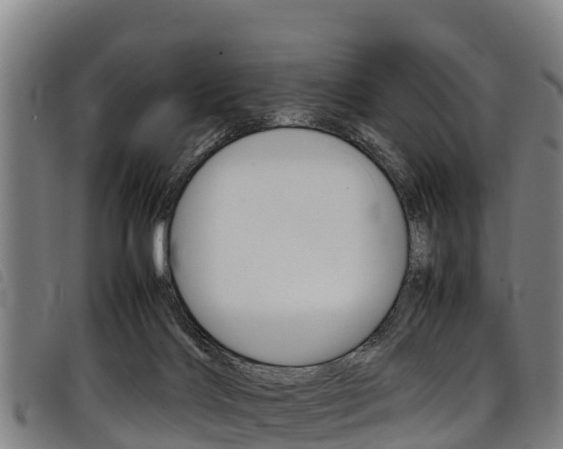X0000098120028200804040833